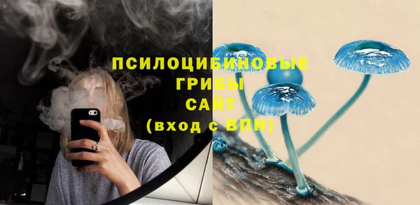 прущая мука Верея