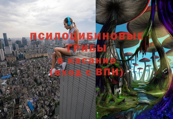 прущая мука Верея