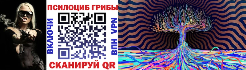 Галлюциногенные грибы Psilocybine cubensis  Купить где  Новоалтайск 